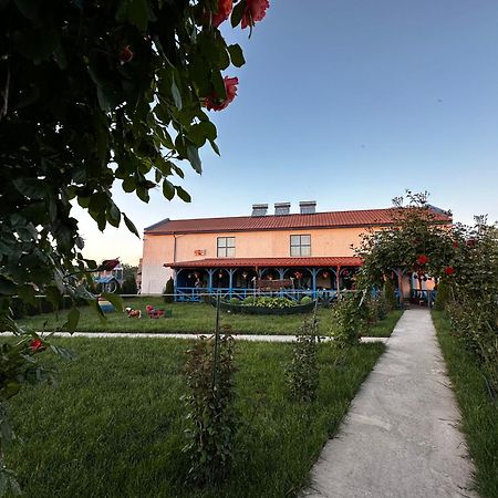 Agropensiuea Casa Uncu Hotel Murighiol Kültér fotó