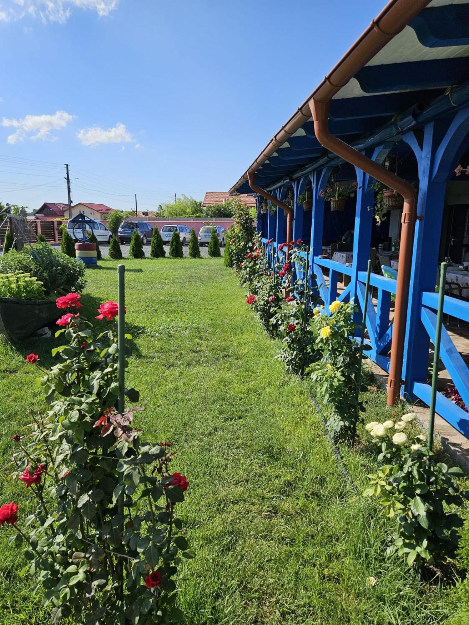 Agropensiuea Casa Uncu Hotel Murighiol Kültér fotó