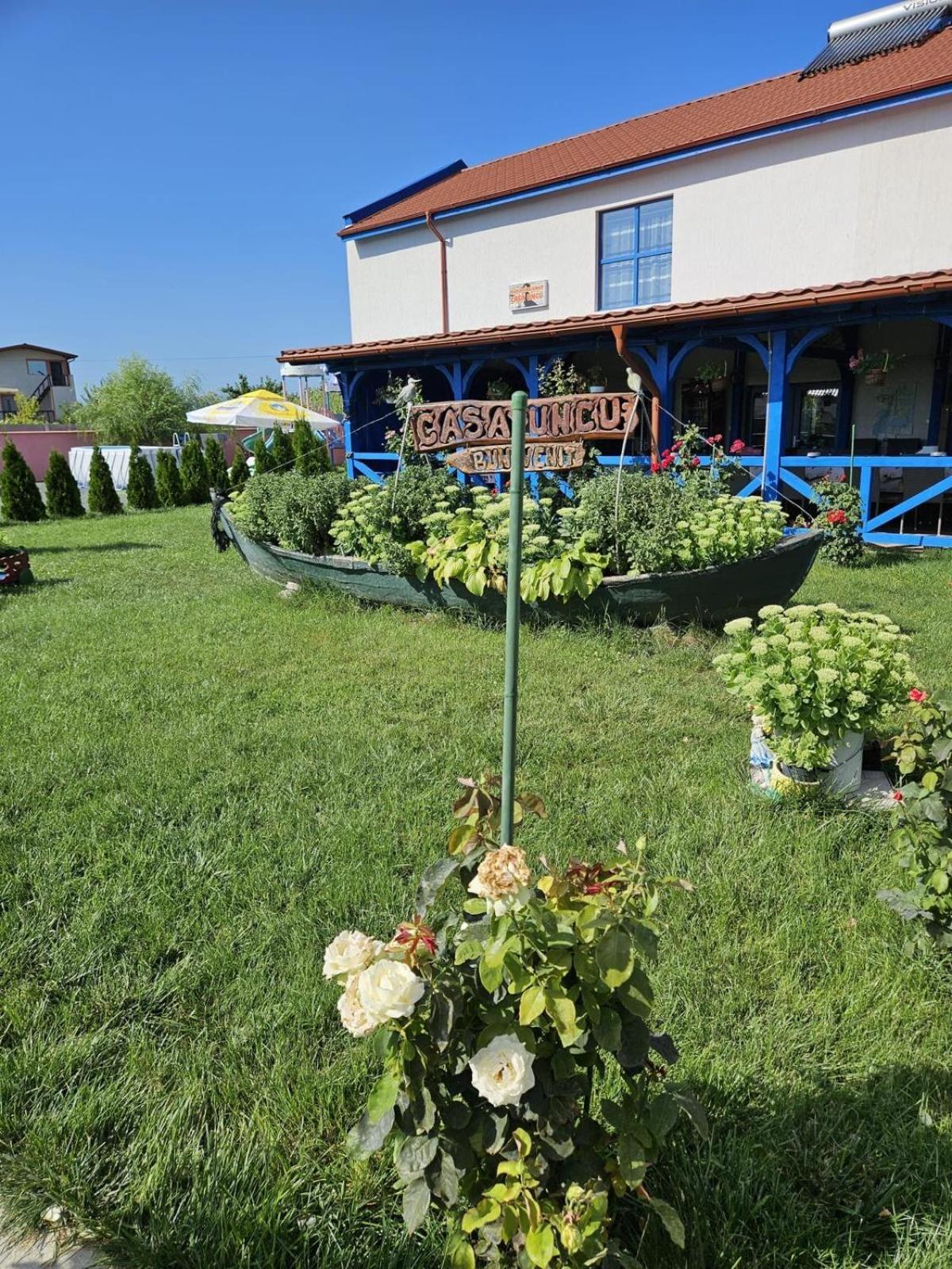 Agropensiuea Casa Uncu Hotel Murighiol Kültér fotó