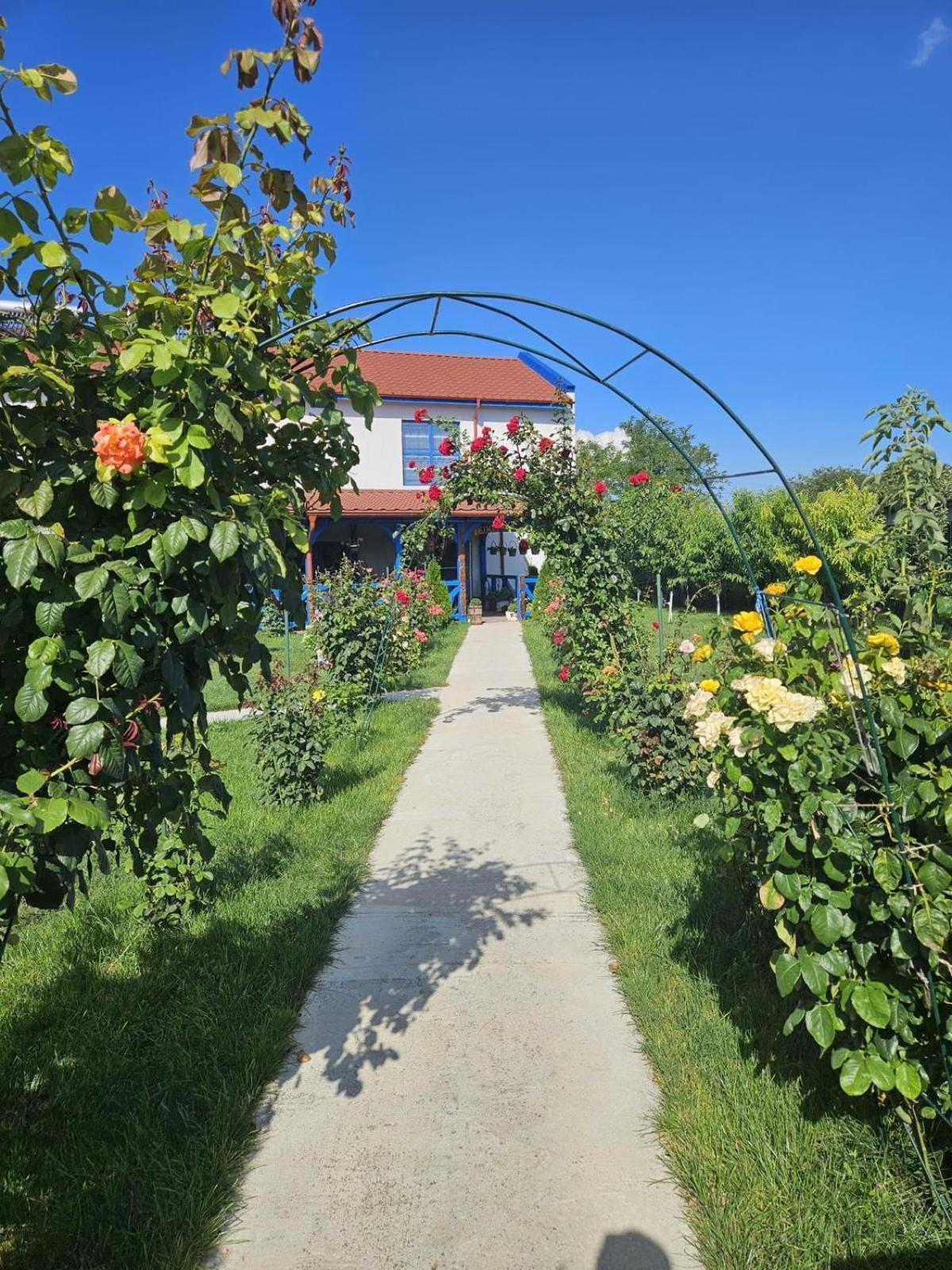 Agropensiuea Casa Uncu Hotel Murighiol Kültér fotó