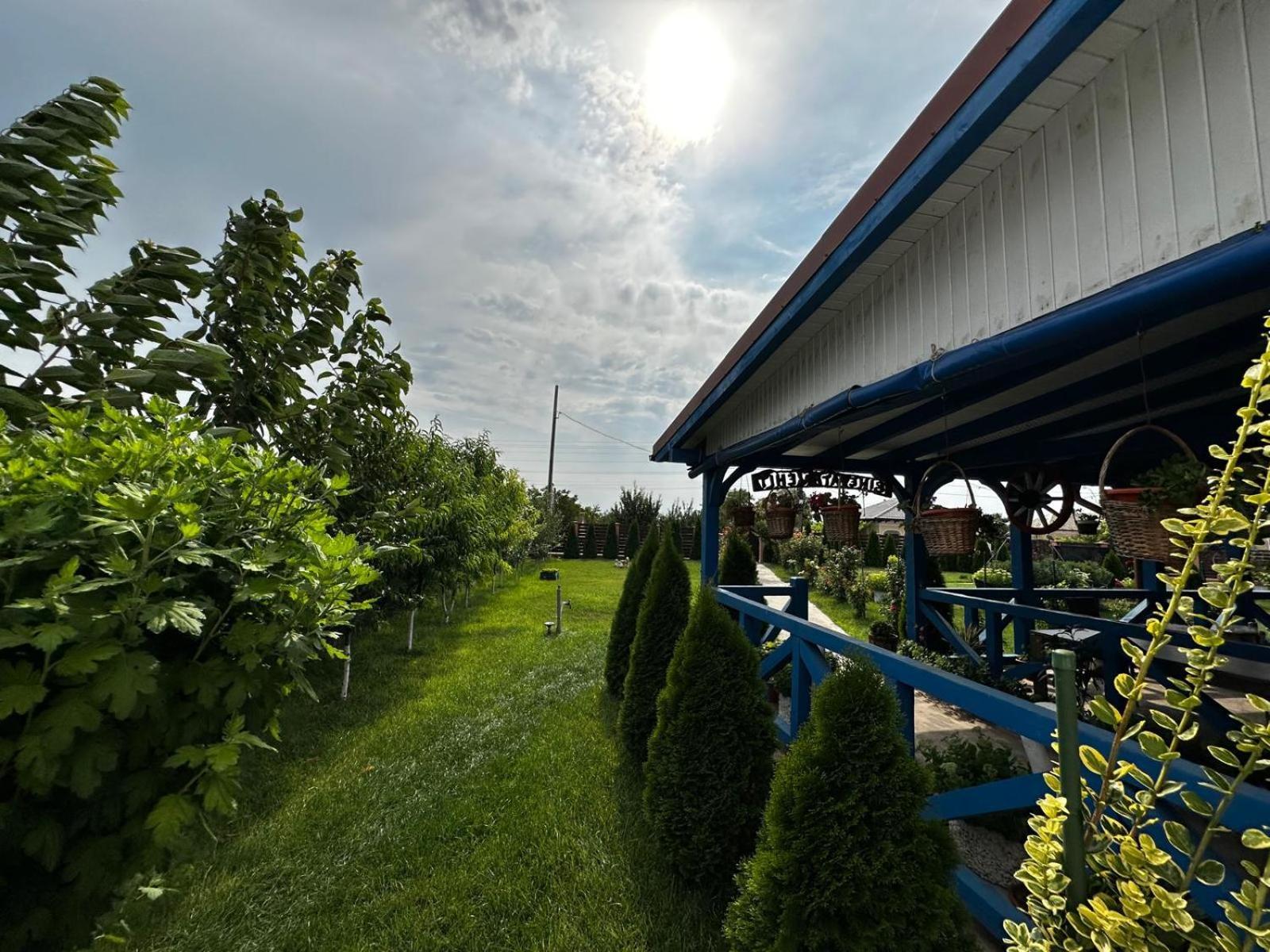 Agropensiuea Casa Uncu Hotel Murighiol Kültér fotó