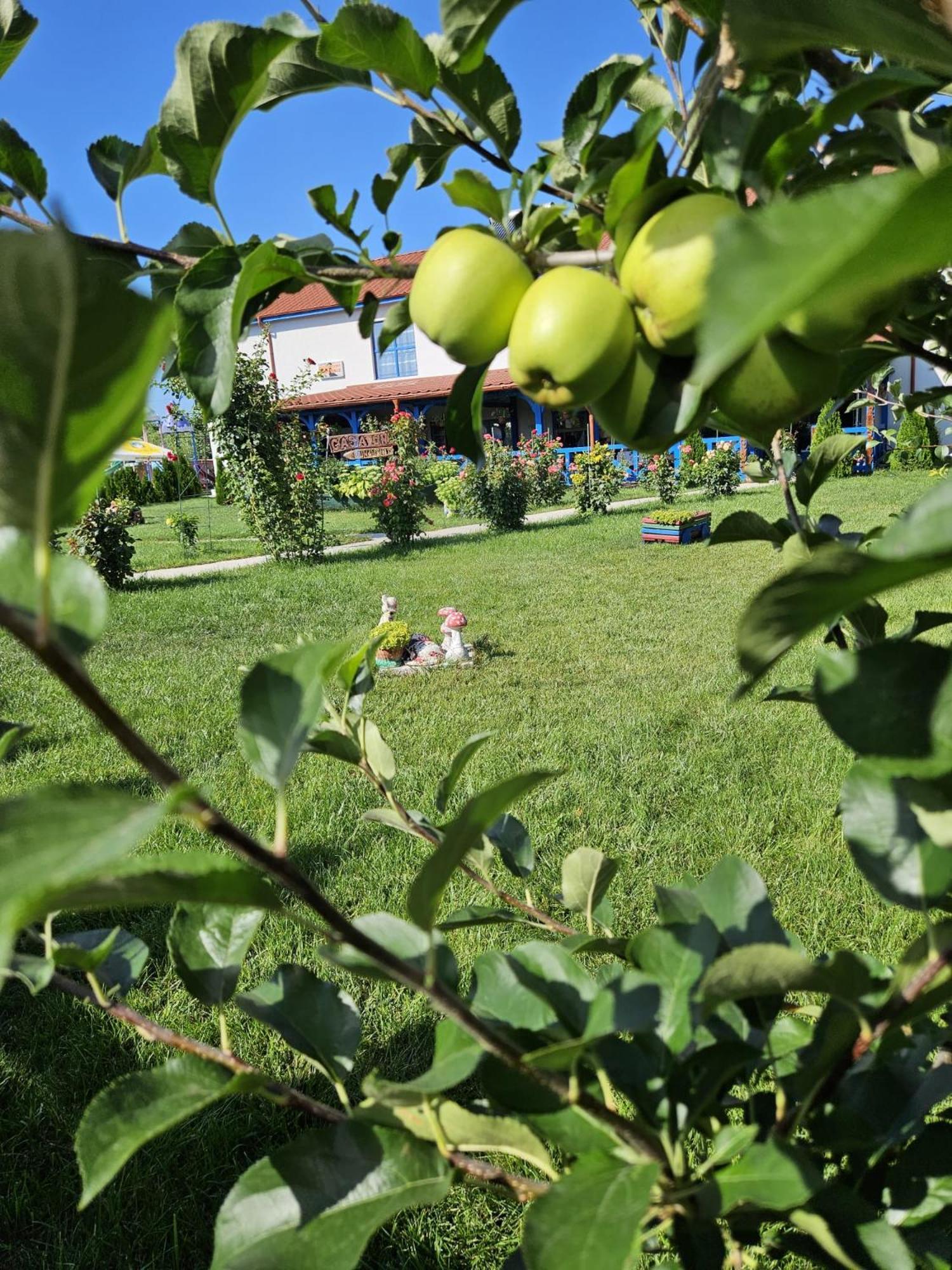 Agropensiuea Casa Uncu Hotel Murighiol Kültér fotó